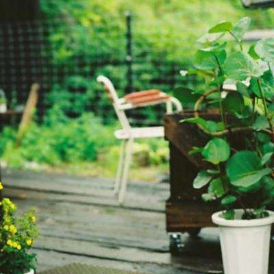 196体育软件下载