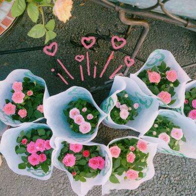 环球体育官网下载